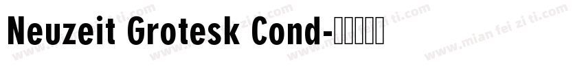 Neuzeit Grotesk Cond字体转换